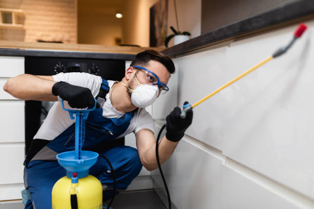 Best Affordable Pest Control Services  in Waterloo, WI