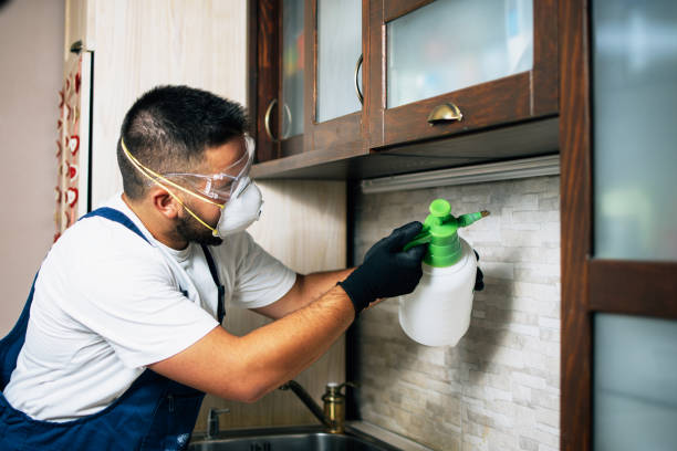 Best Cockroach Control Services  in Waterloo, WI