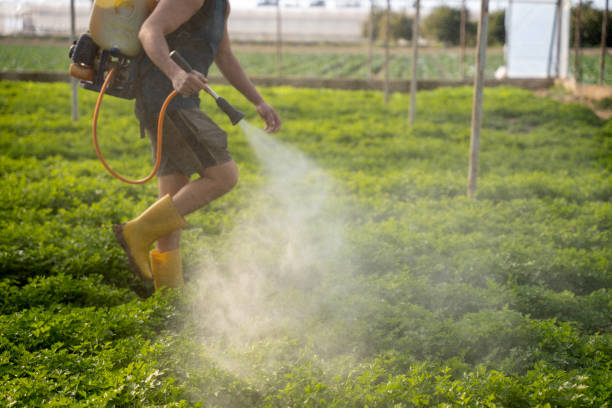 Trusted Waterloo, WI Pest Control Experts