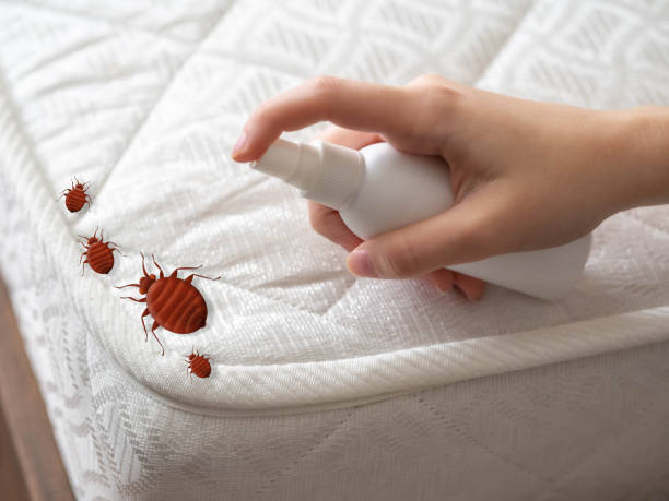 Best Residential Pest Control  in Waterloo, WI