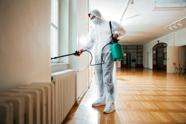 Best Termite Control Services  in Waterloo, WI