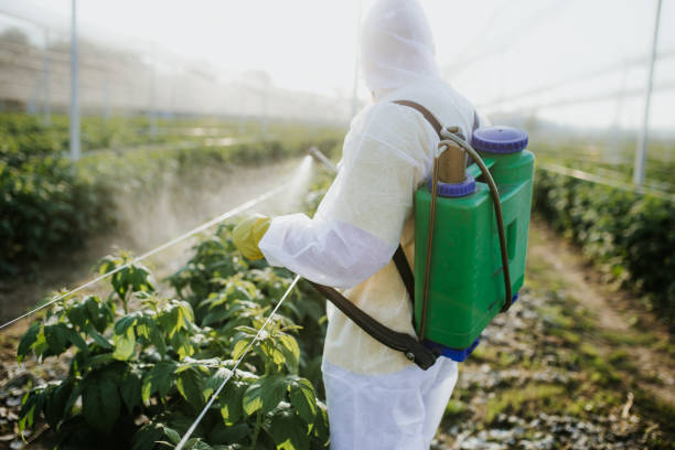 Best Local Pest Control Services  in Waterloo, WI